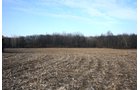 Tract 3 Tillable - REAL ESTATE AUCTION - 84.5+/- ACRES IN 4 TRACTS IN WHITLEY COUNTY, INDIANA